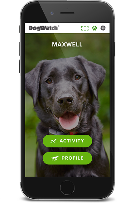 DogWatch of Chillicothe, Frankfort, Ohio | SmartFence WebApp Image