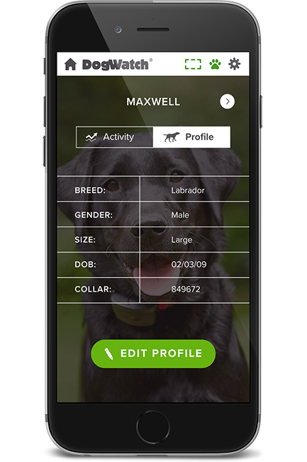 DogWatch of Chillicothe, Frankfort, Ohio | SmartFence WebApp Image